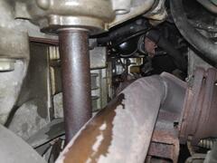 IMG_20250407_154055.jpg