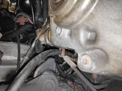 IMG_20250407_154109_1.jpg