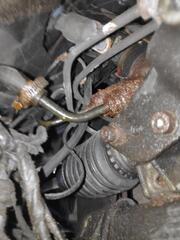 IMG_20250407_154241.jpg