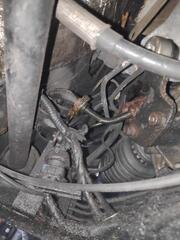 IMG_20250407_154250_1.jpg
