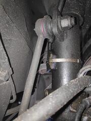 IMG_20250407_154308_1.jpg