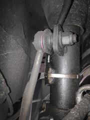 IMG_20250407_154315.jpg