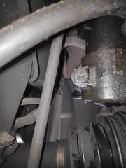 IMG_20250407_154319_1.jpg