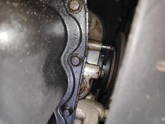 IMG_20250407_154343_1.jpg
