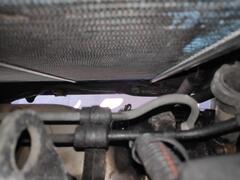 IMG_20250407_154422.jpg