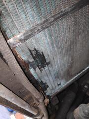 IMG_20250407_154440.jpg