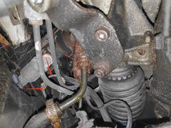 IMG_20250418_234416.jpg