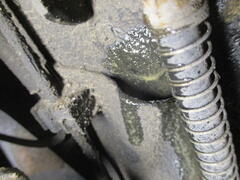 IMG_2850.JPG