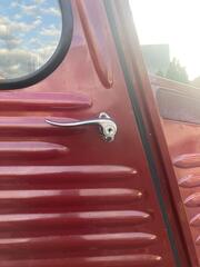 IMG_3953.jpeg