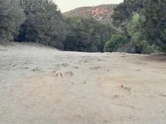 IMG_3986.jpeg