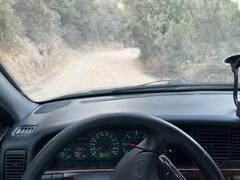 IMG_3987.jpeg