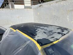 IMG_6380.jpeg