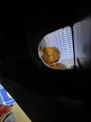 IMG_7400.jpeg