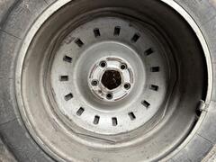 IMG_7526.jpeg