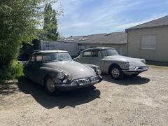 IMG_7656.jpeg