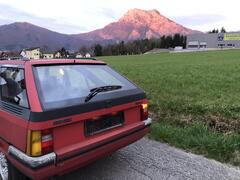 IMG_8239.jpeg