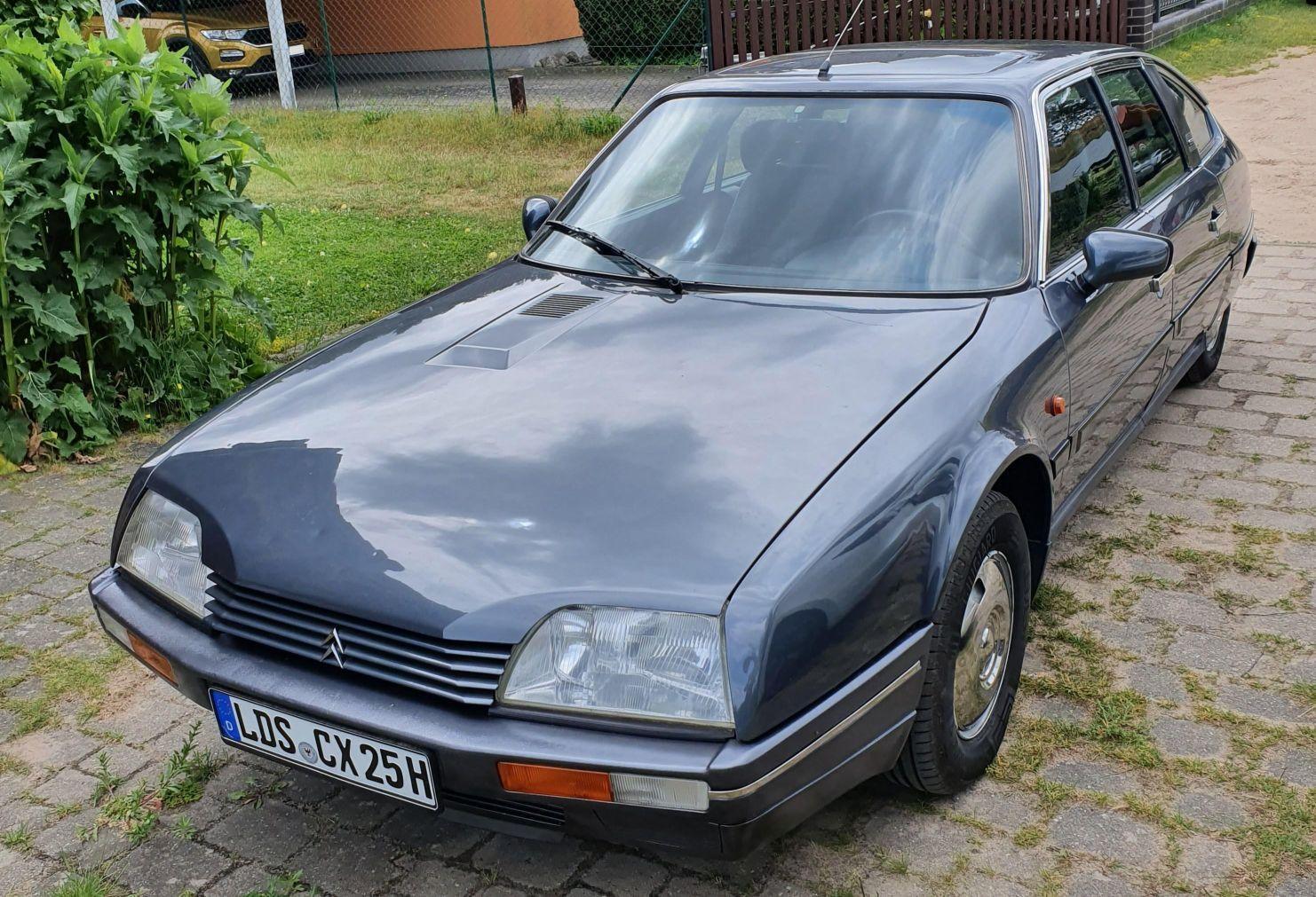 die_Katze_klein.jpg.9be93ee11d94ee859a9ec3df981d62dc.jpg