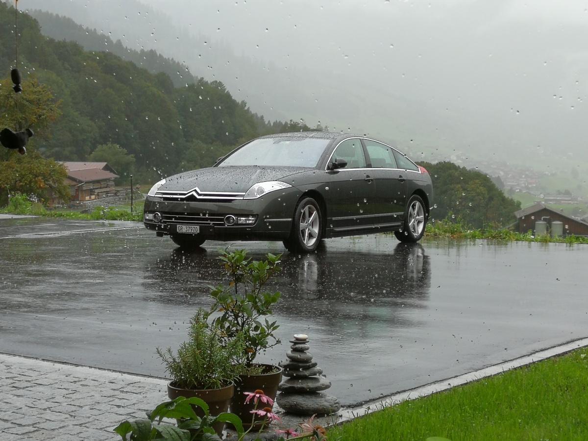 c6_regen.jpg.6ec8ea52d2bd3f7882b3c349946c47d2.jpg