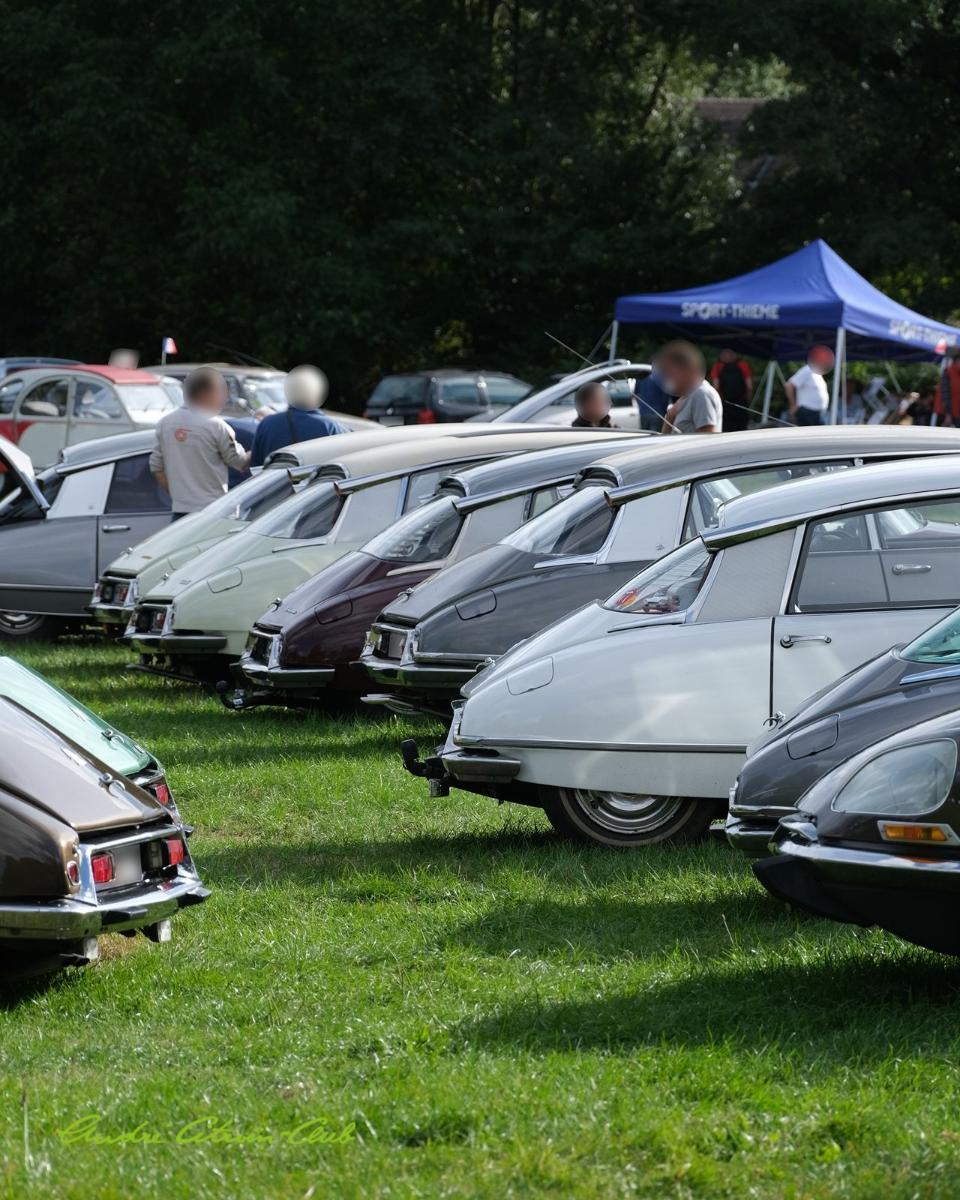 DSCF6553.JPG.167def686956dbd79e6cceccd4575e08.JPG