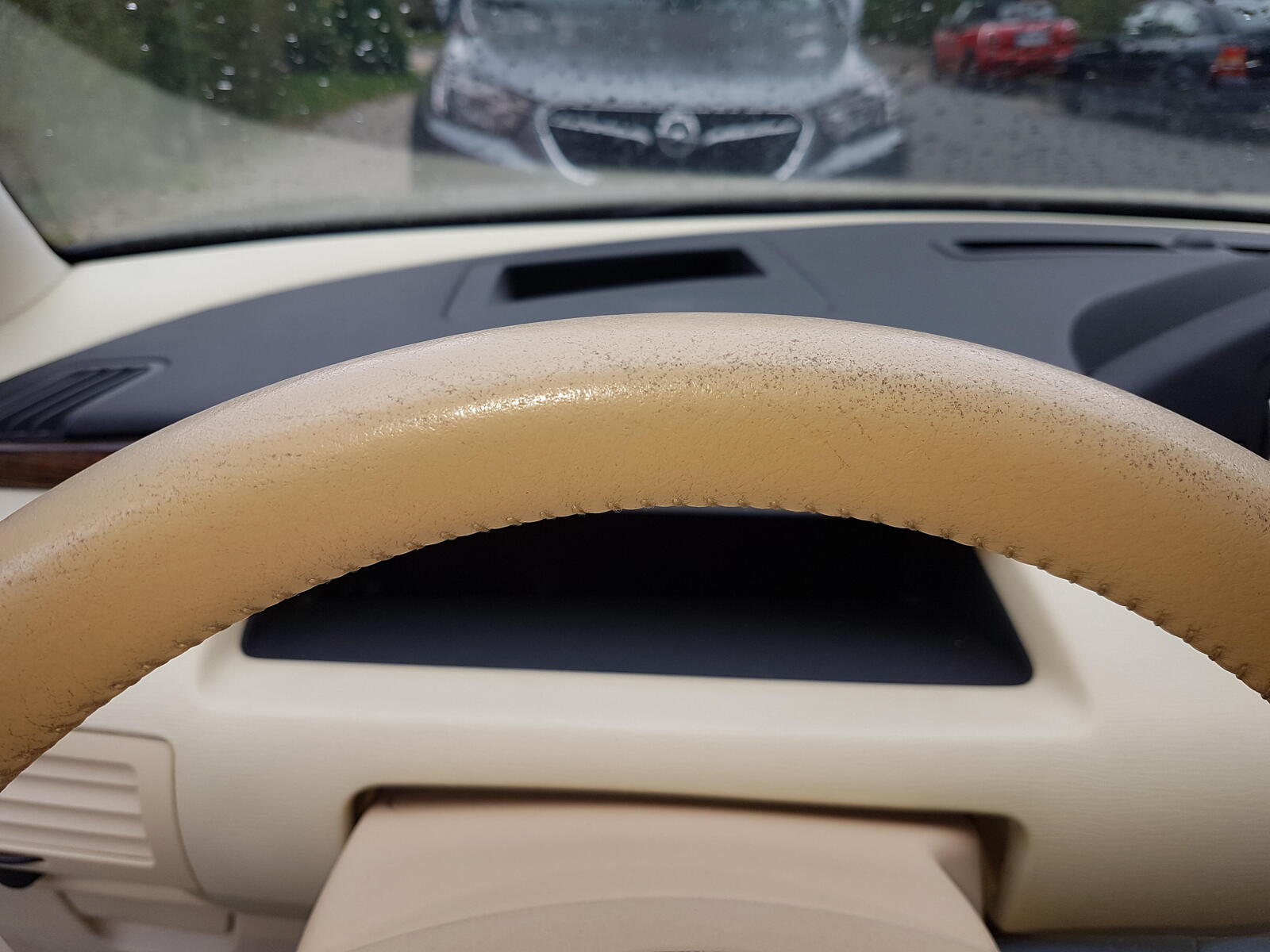 large.20250925_143513.jpg.d7205d0d7a31b99739f8454f2b80b3c9.jpg