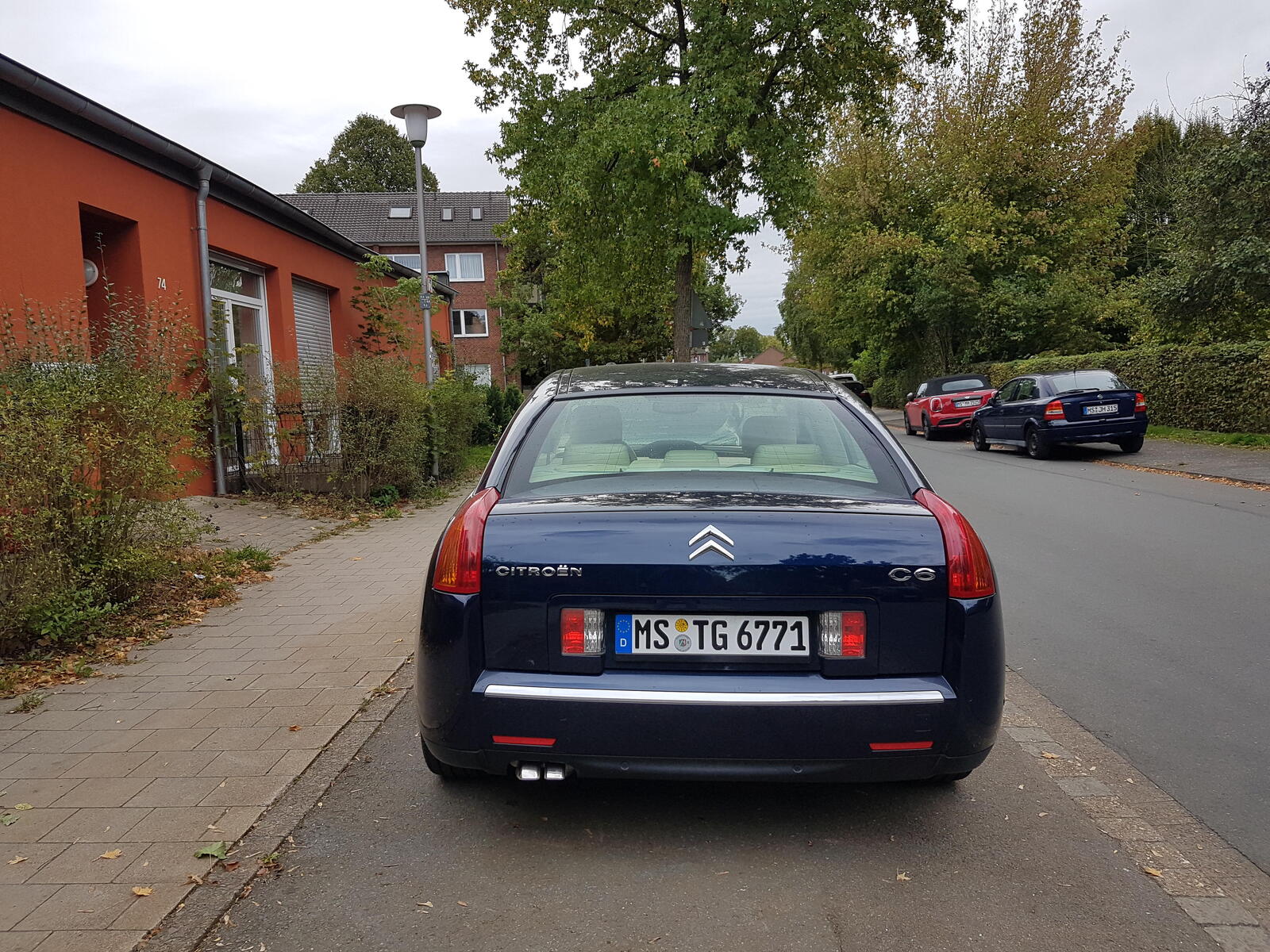 large.20250925_143730.jpg.ecb23bad777aa1a8752d2f0e72fcbfa5.jpg