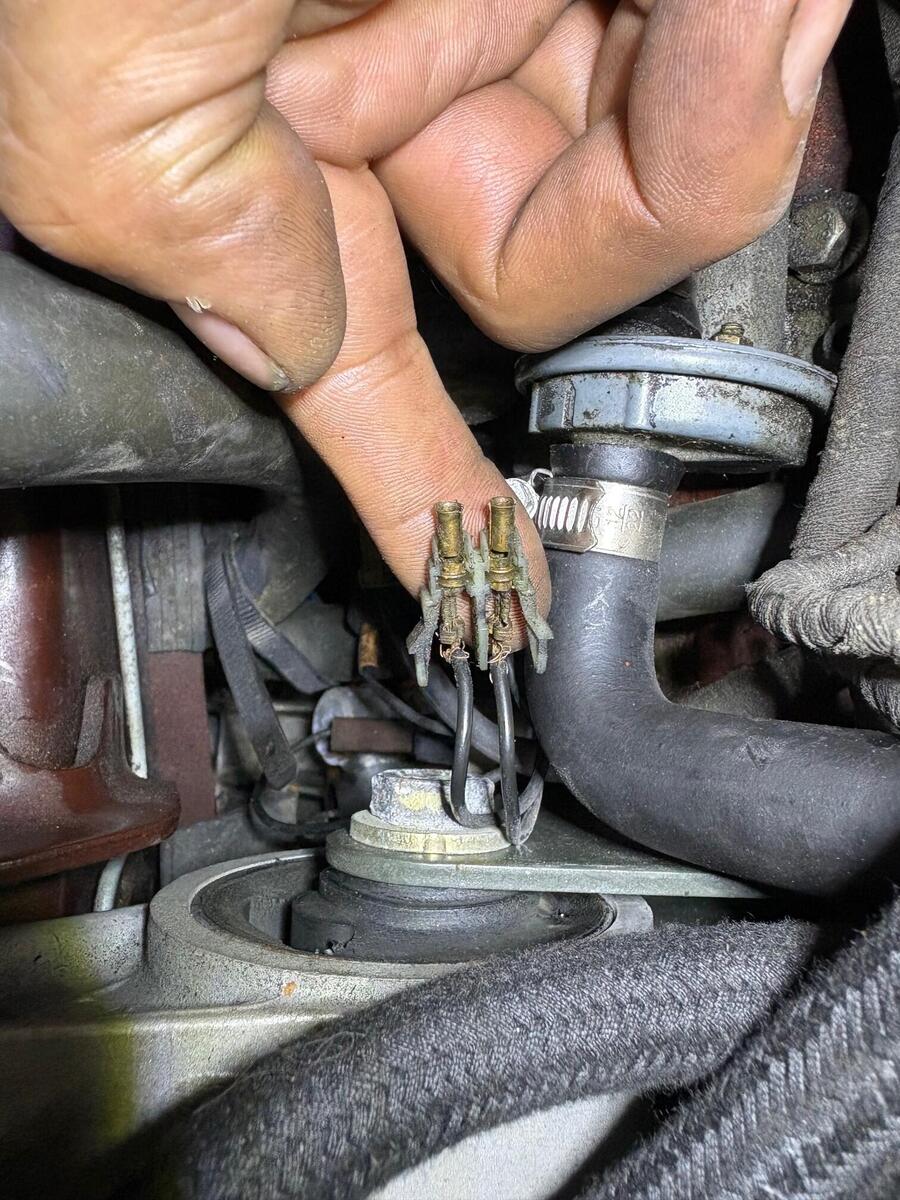 large.Messing-Stecker.jpg.43af2ffb2c8bafbc34846b9c2ff72efd.jpg