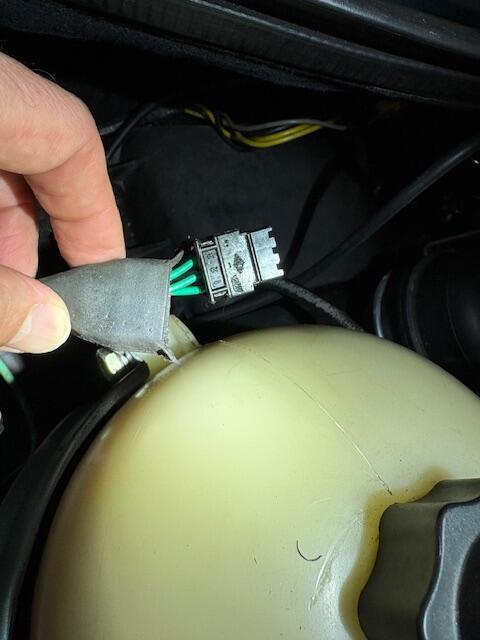 large.RXG-Stecker.jpg.0776abe87d07b75deab1ed8da647309a.jpg