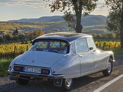 2025_Herbst DS Pfalz_2.jpg