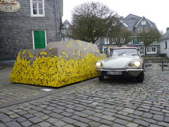 P1130583.JPG