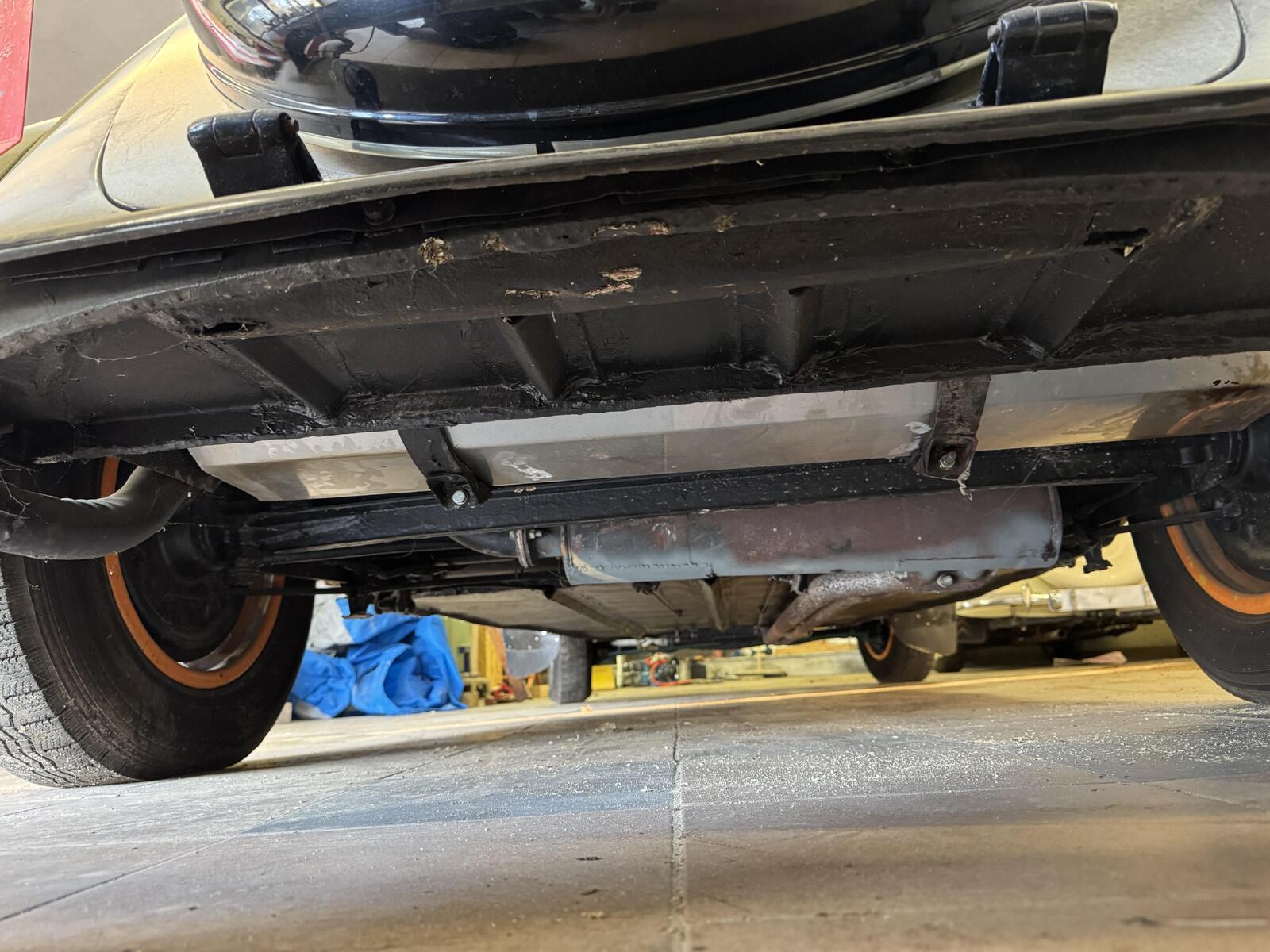 large.IMG_6723.jpeg