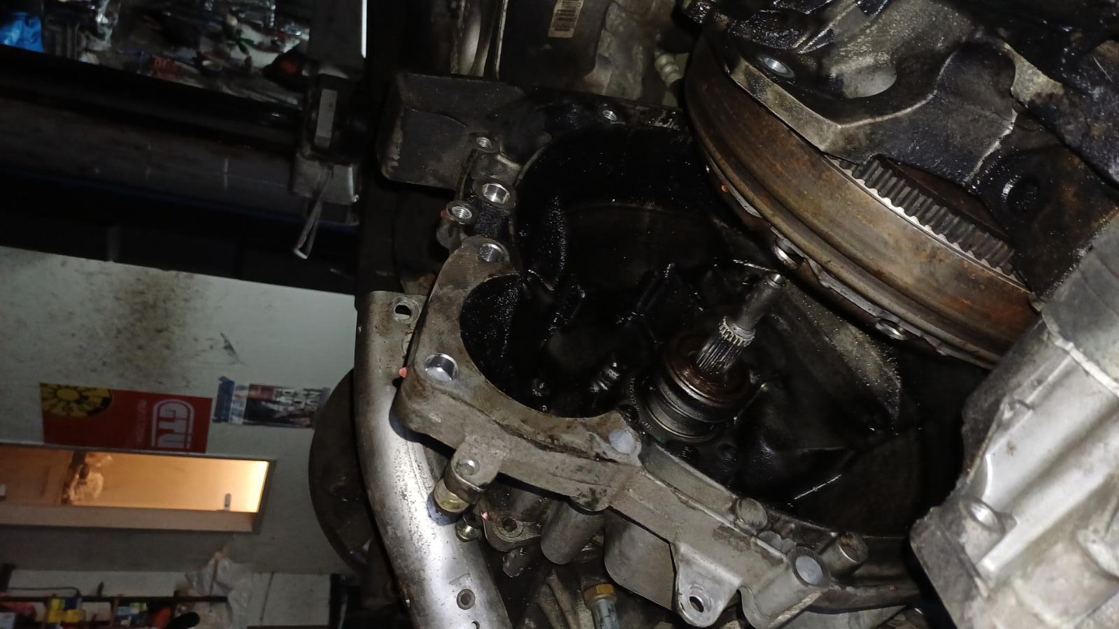 IMG-20260203-WA0025.jpeg.fd1ff541c178867365e6b3d82853cb30.jpeg