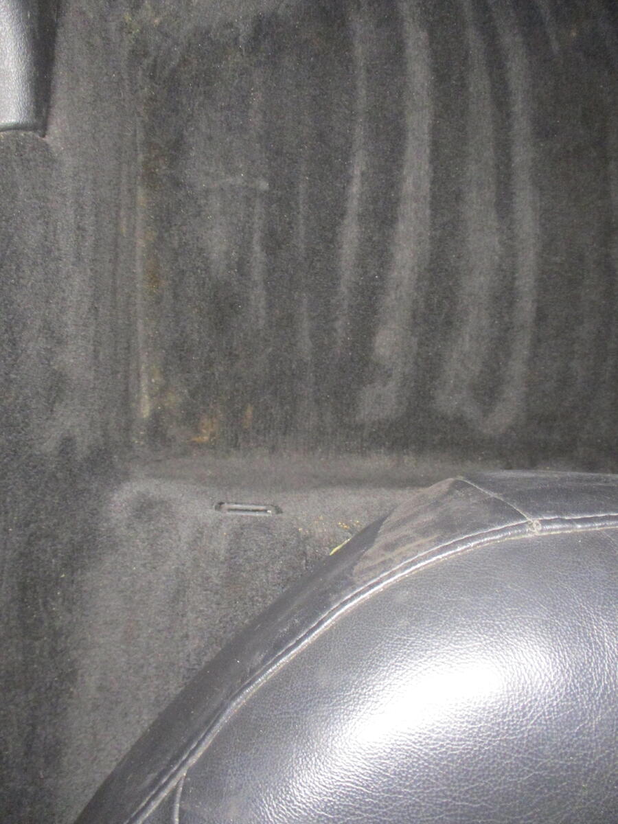 large.IMG_3313.JPG.f442460bbff9d2c777ee805042030fb3.JPG