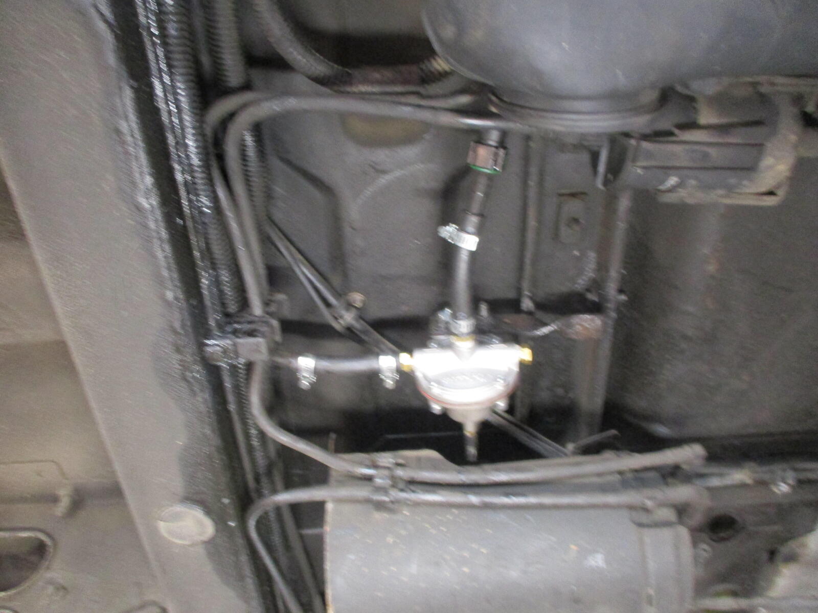 large.IMG_3323.JPG.7568ce7f12634a920a1dde8bb152f11d.JPG
