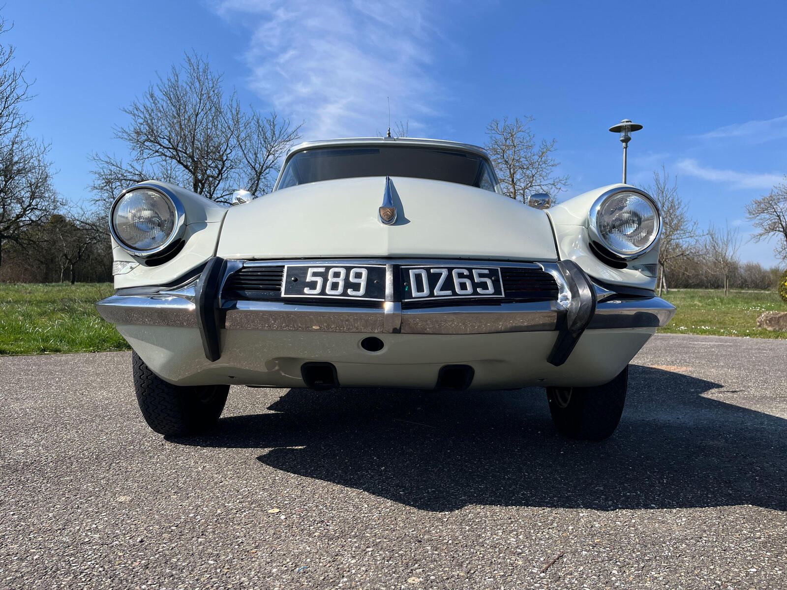 large_008.jpg.464dd06e16c29f82c4158607588d1ca4.jpg
