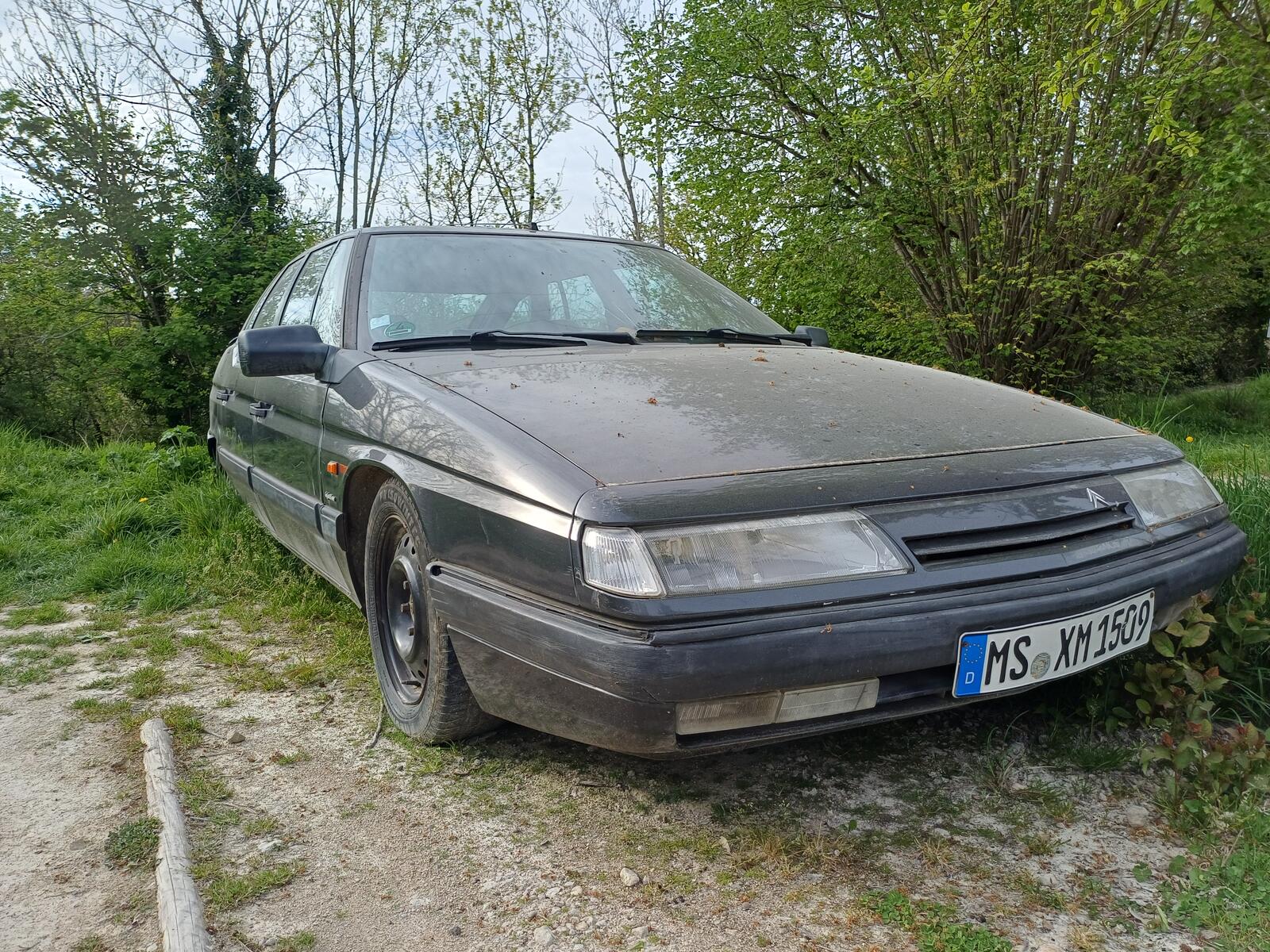 20260410_180758.jpg