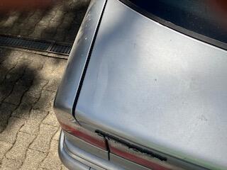 IMG_2045.jpeg