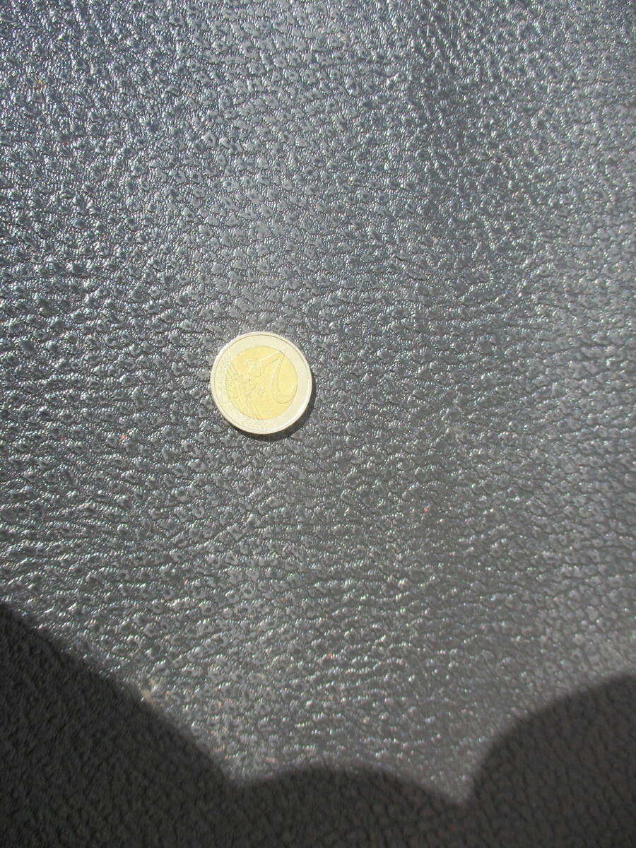large.IMG_3409.JPG