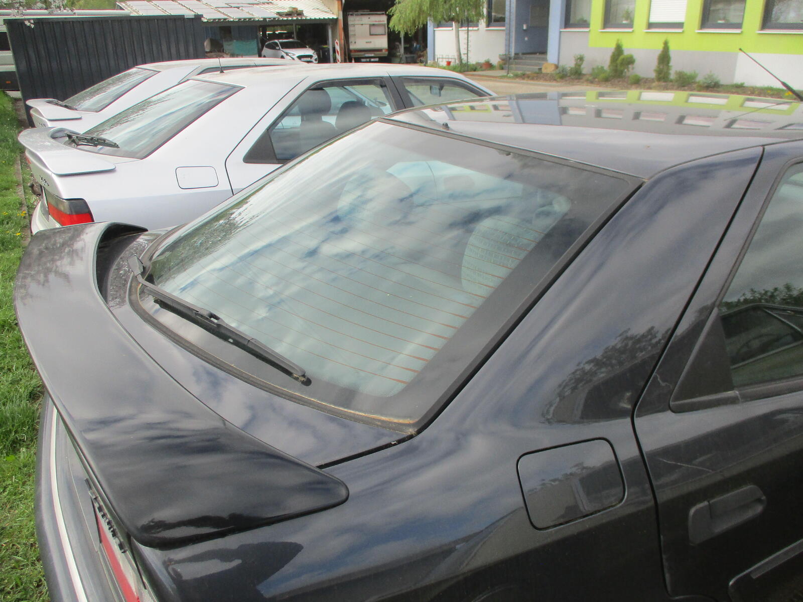 large.IMG_3430.JPG