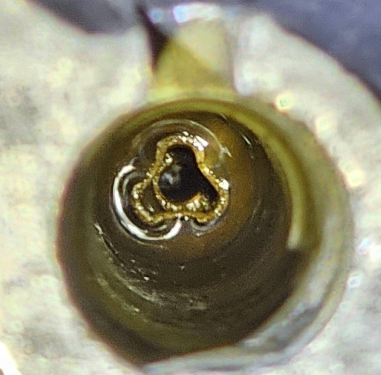 20260515_190952.jpg