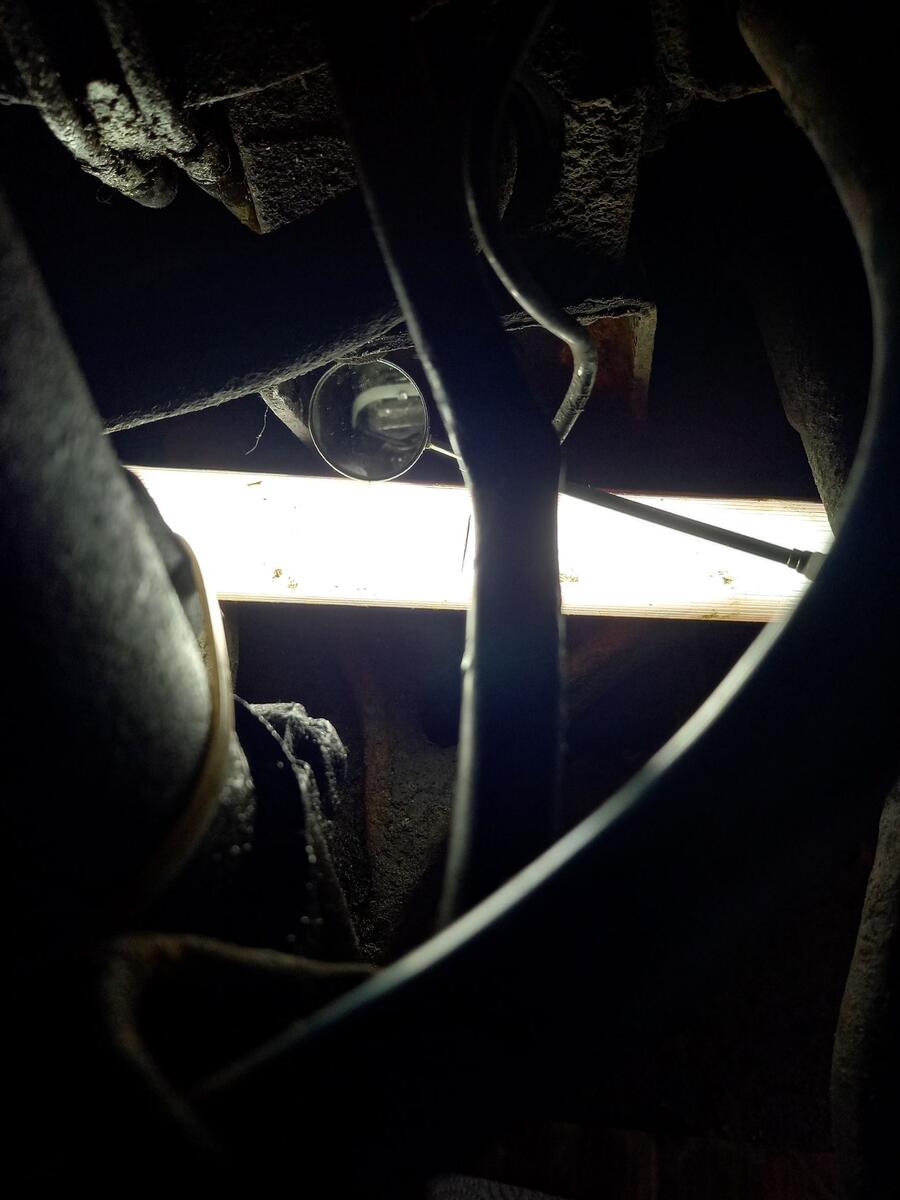 BX-blau-Leckx.jpg