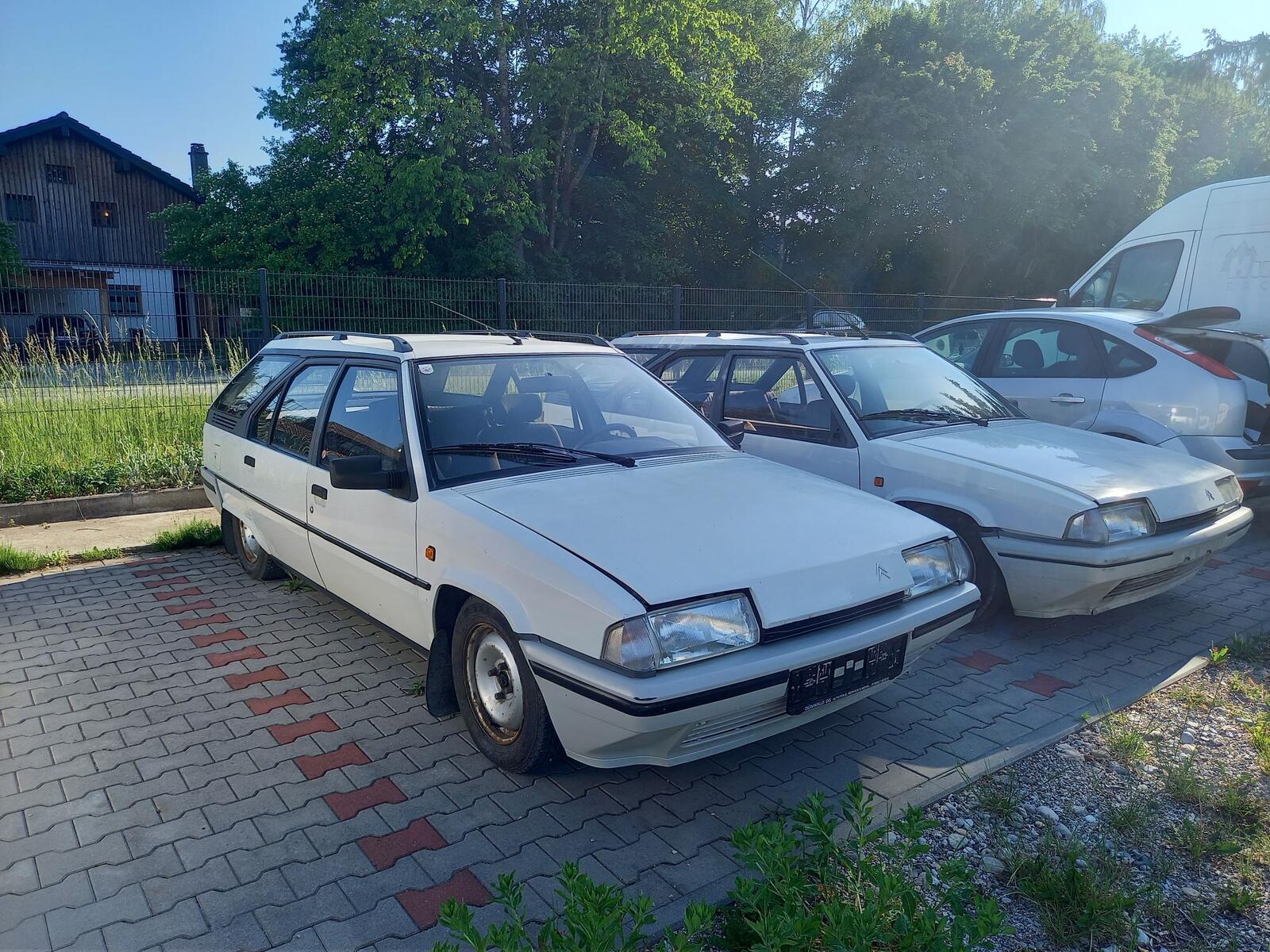 BX-weiss-forsting-klein.jpg