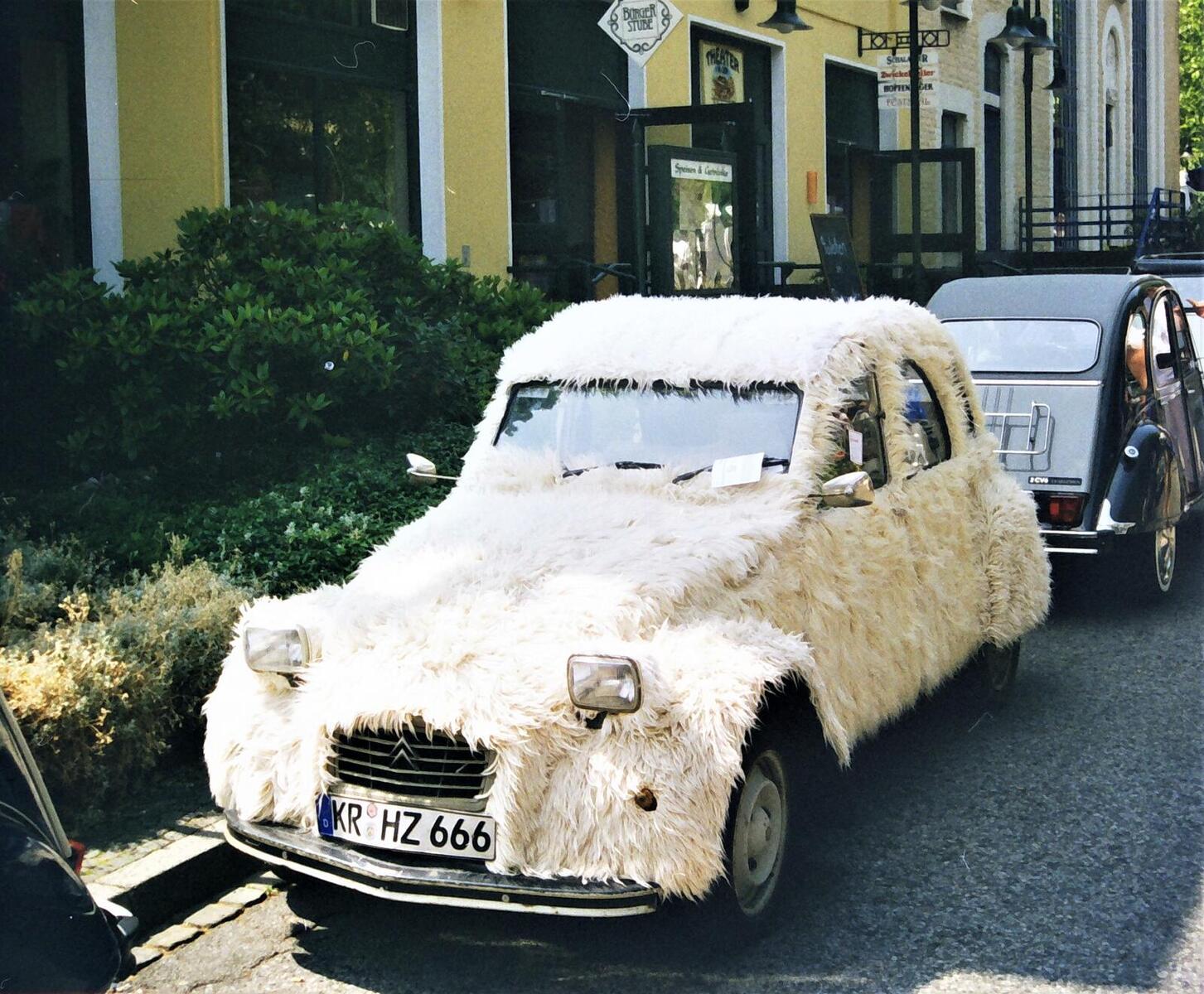 Fusselente.JPG