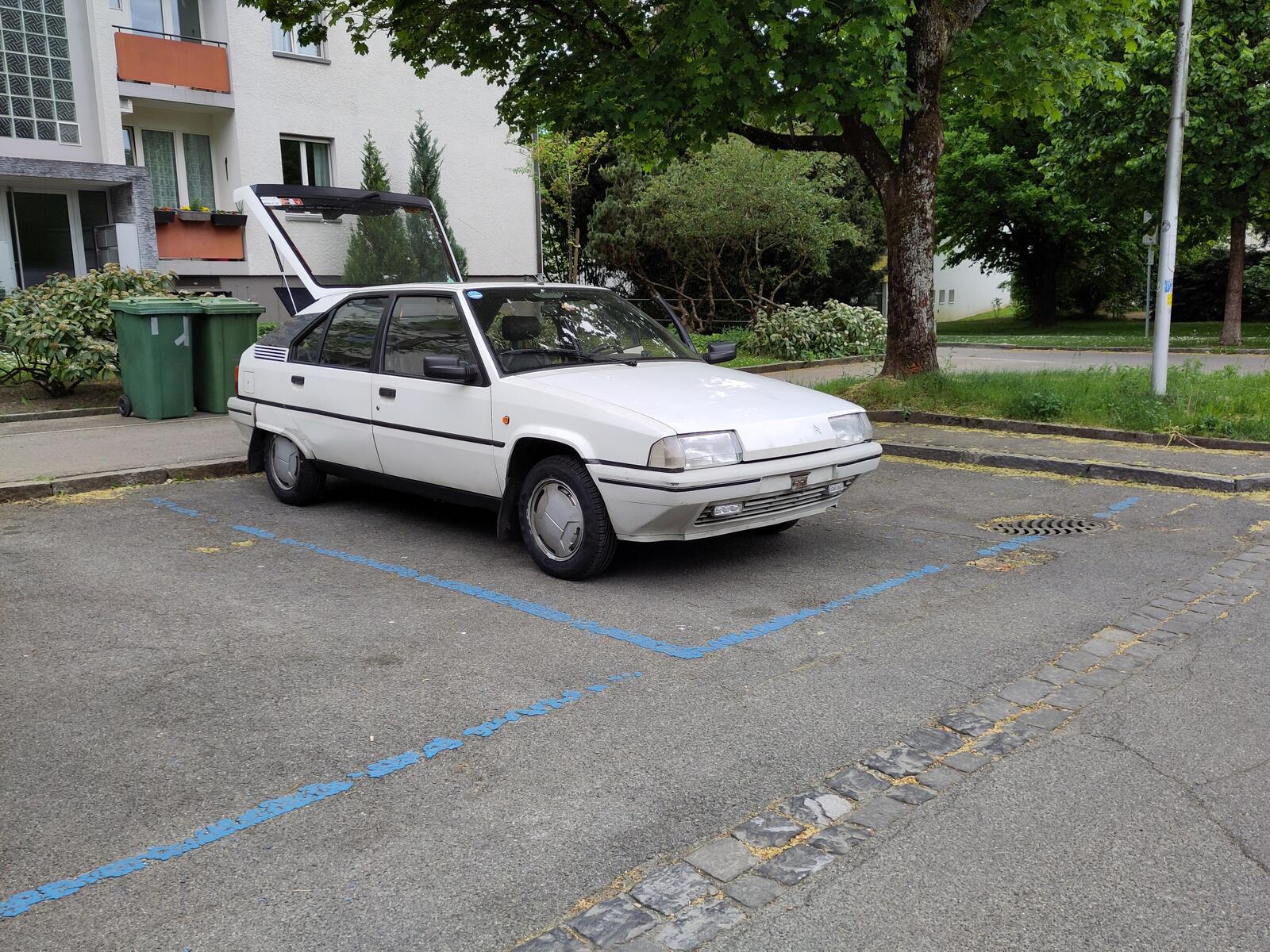 large.BX19Trd.jpg