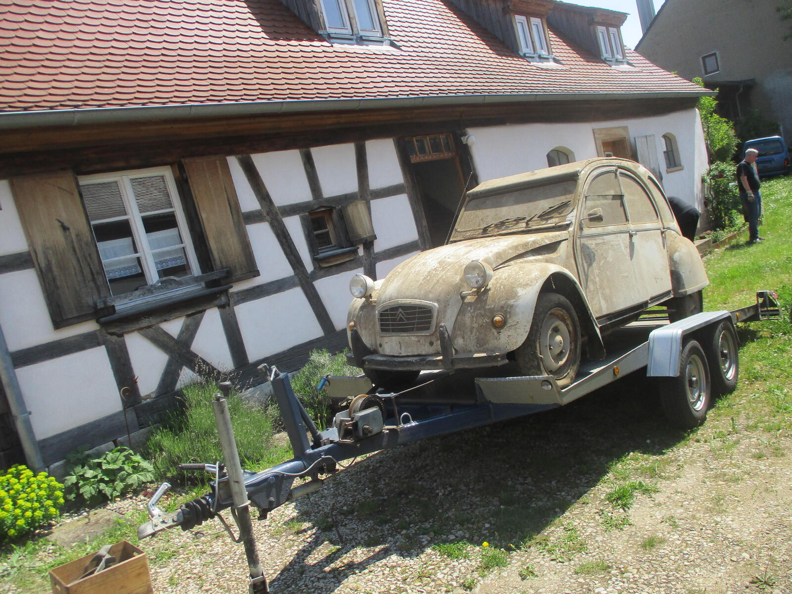 large.IMG_3449.JPG