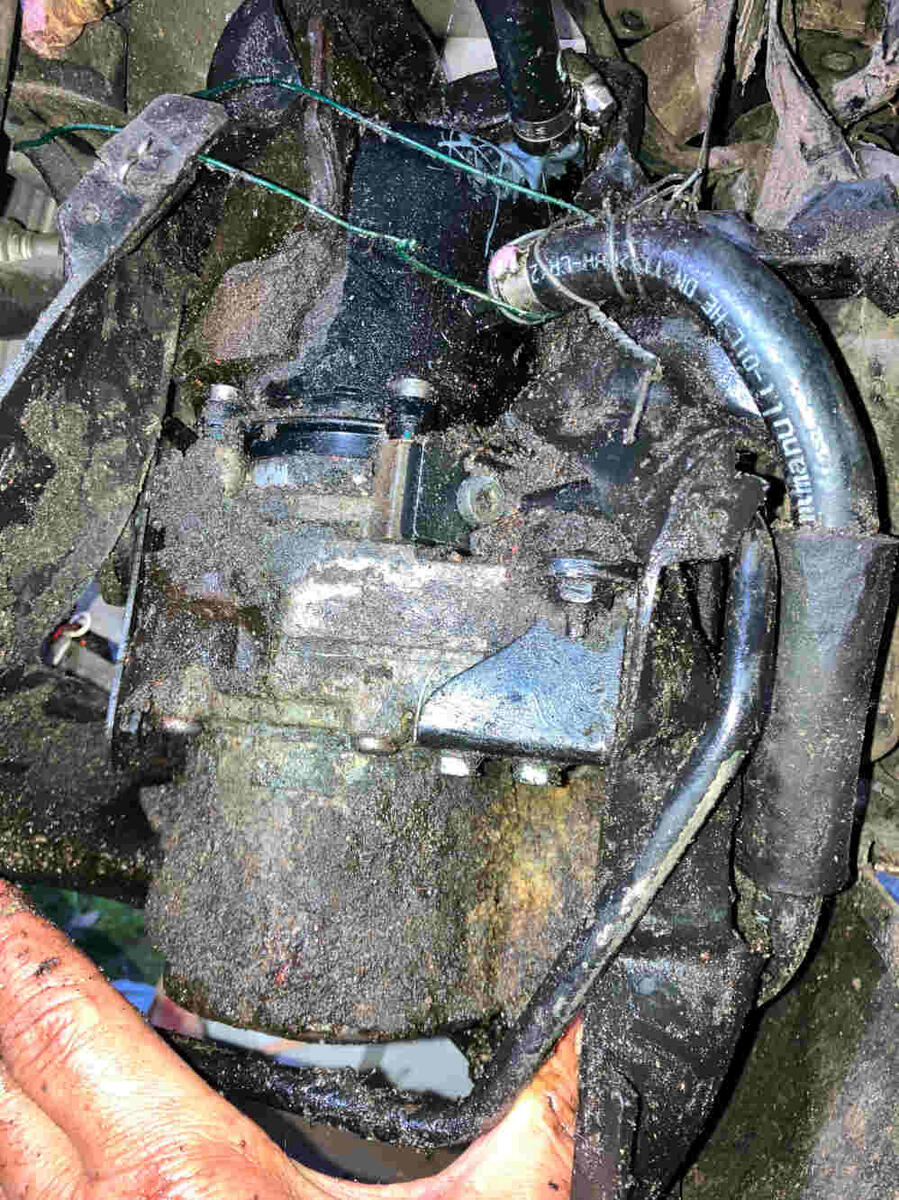 20260610204900_citroen-c6-Servopumpe-mit-Schutz-Schalldaemmung_vorn-rechts.jpg