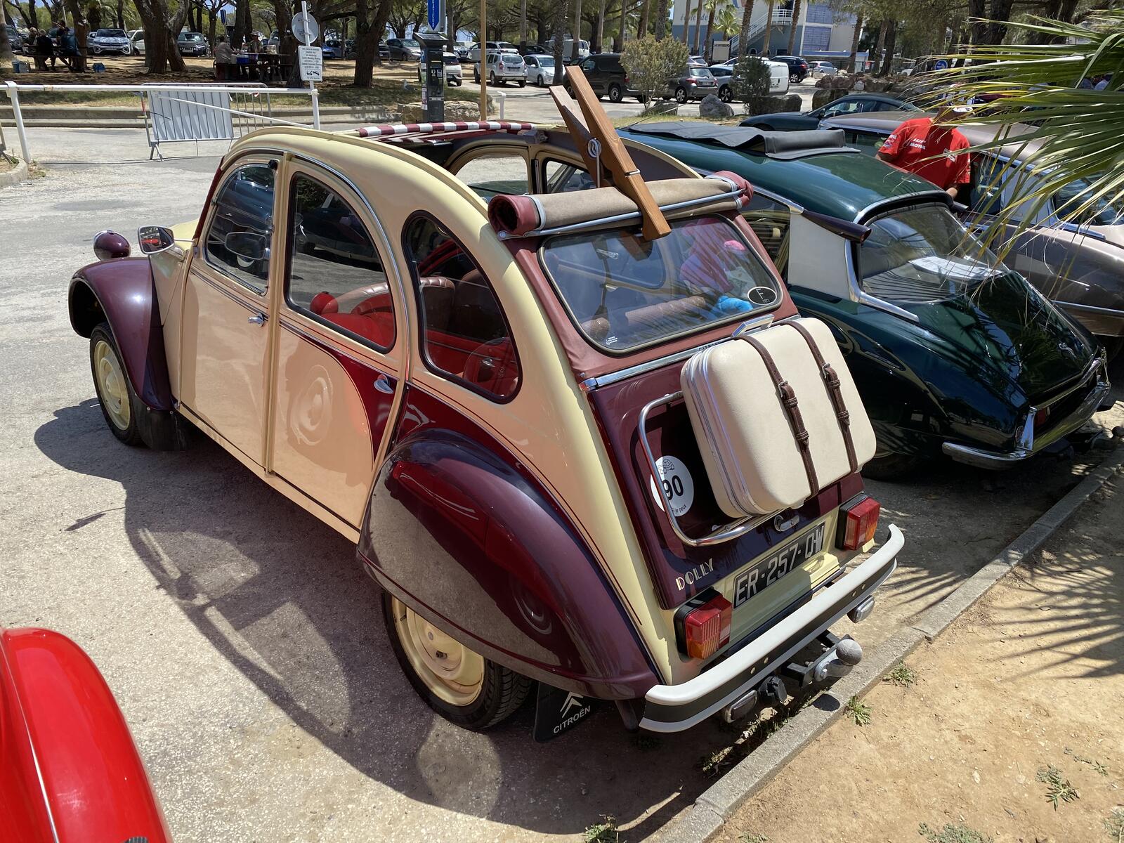 IMG_0097.jpeg