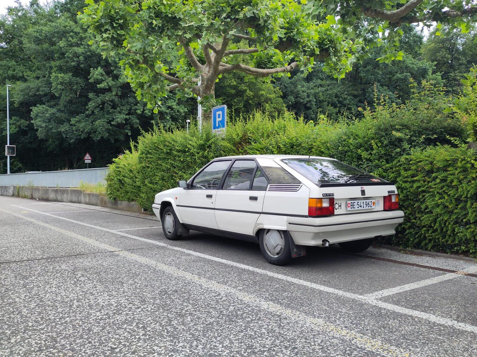 large.BX19Trdhintenquer.jpeg