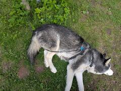 small.PXL_20260606_153705339.jpg.303ca18