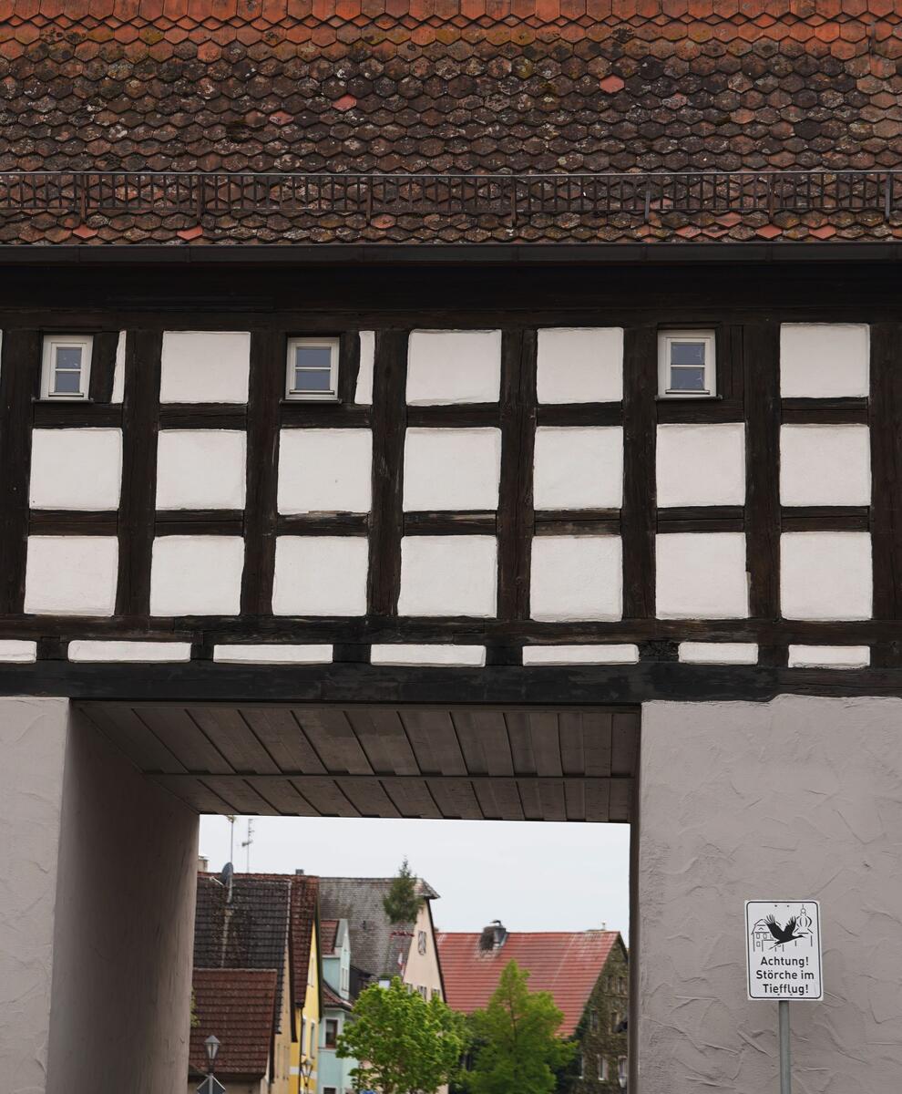 2023-05-08_Uehlfeld-Storch02-scaled.jpg