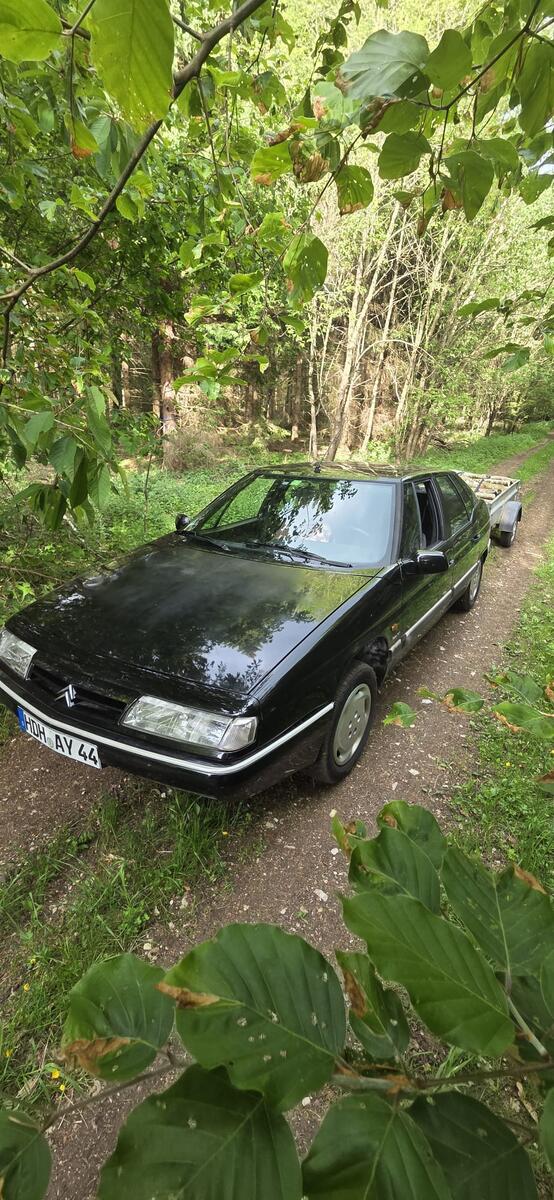Citroen im Wald.jpg